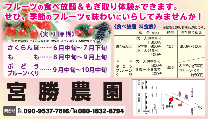 ちらっと6月号 宮勝商店（南部町）